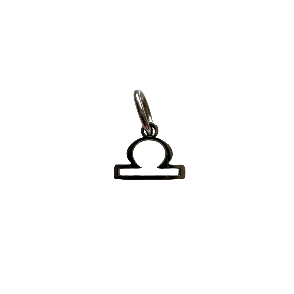 Silver Zodiac Symbol Charm