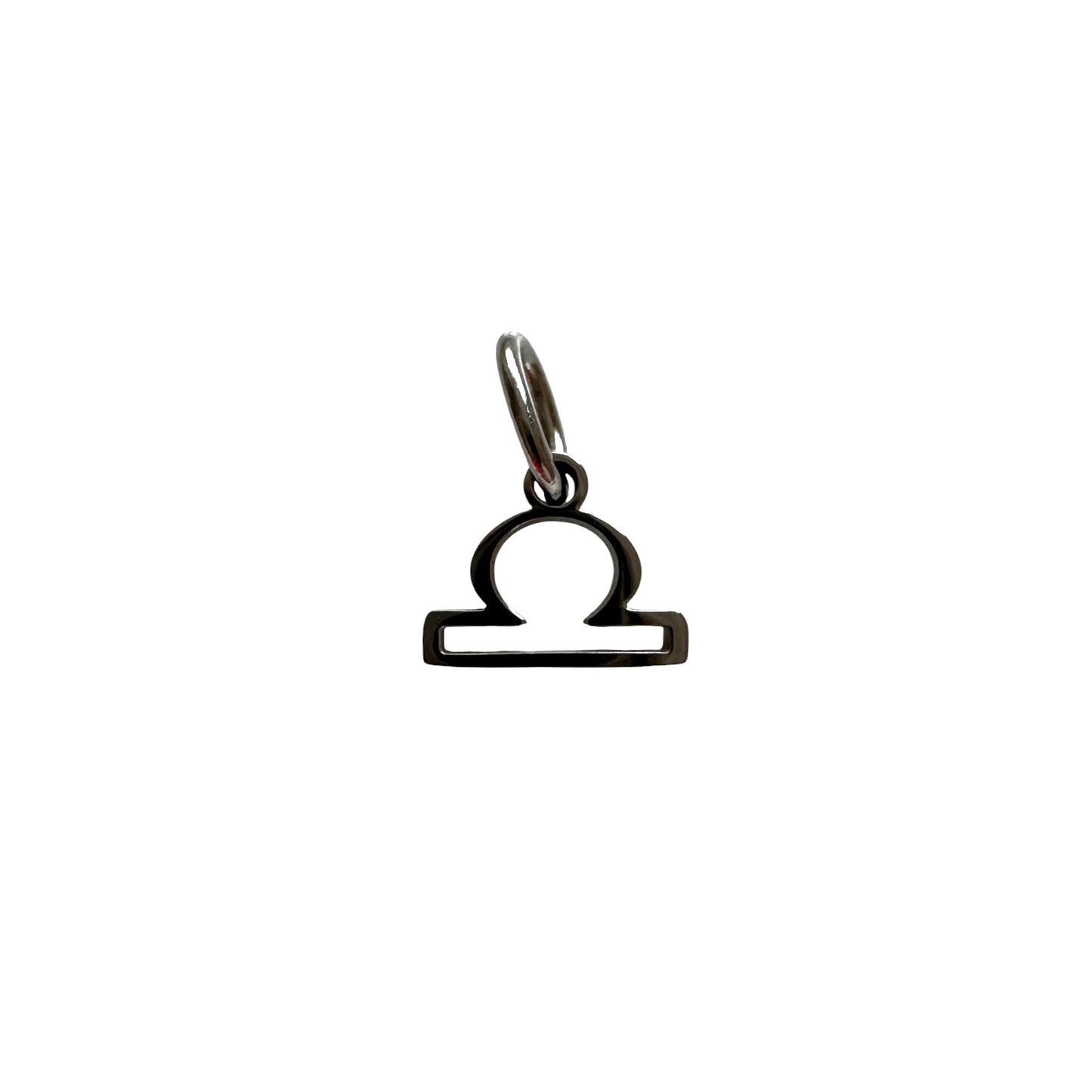 Silver Zodiac Symbol Charm