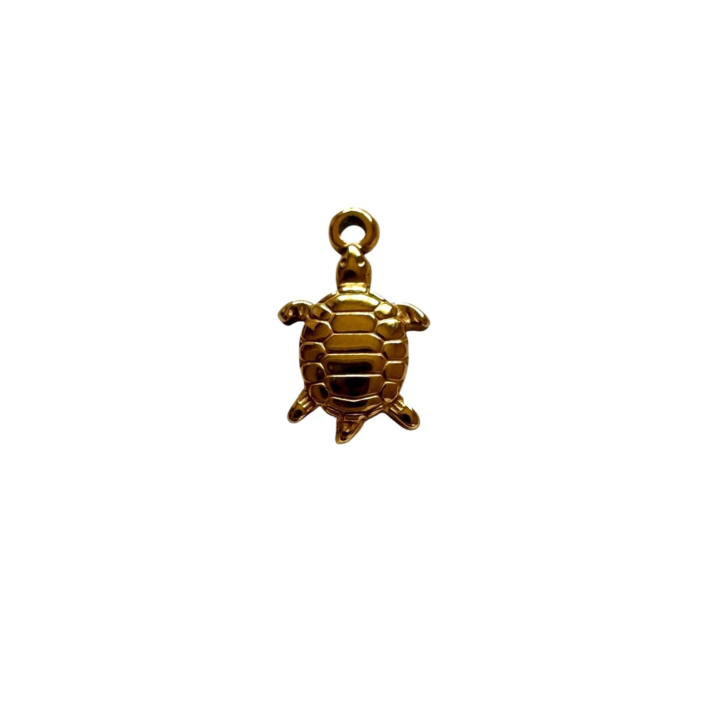 Golden Sea Turtle Charm